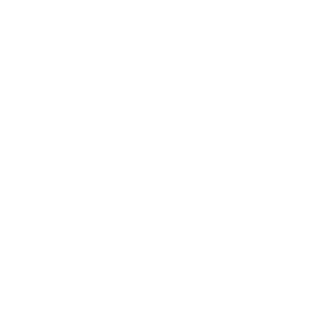 One Street Insurance Group - Logo Icon White